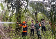 Karhutla Melanda 9 Kecamatan di Muaro Jambi, Jaluko Jadi Salah Satu Wilayah Rawan