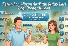 Jumlah Kebutuhan Air Minum bagi Orang Dewasa