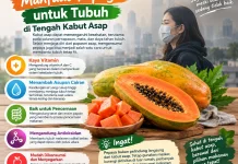 Manfaat Buah Pepaya saat Kabut Asap