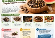 Biji Semangka yang Sering Dibuang ternyata Bisa Dimanfaatkan