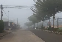 Udara Jambi Tidak Sehat, Warga Diminta Kurangi Aktivitas di Luar