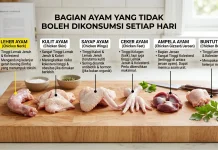 Bagian Tubuh Ayam yang Sebaiknya Tidak Dikonsumsi Setiap Hari