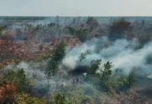 Wakil Ketua DPRD Prov Jambi Minta Penegakan Hukum Karhutla Jambi Transparan