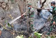 Tim Gabungan Bergerak Cepat Padamkan Api di Kawasan PT REKI Batanghari