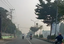 Kabut Asap, Kualitas Udara Kota Jambi Masuk Kategori Sangat Tidak Sehat