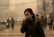 Efek Terlalu Lama Terpapar Kabut Asap Kebakaran Hutan Bagi Kesehatan