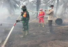 Kabut Asap Berbahaya bagi Kesehatan