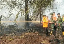 Londerang Kembali Terbakar, Al Haris Turun Langsung Uji Zat Pemadam Api Gambut