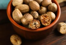 Kandungan Gizi dan Manfaat Buah Pala bagi Kesehatan