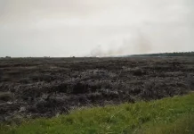 Pemkab Muara Jambi Perkuat Penanggulangan Karhutla