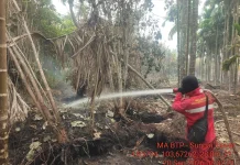 Manggala Agni Masih Lakukan Pemadaman Beberapa Titik Karhutla di Tanjabtim