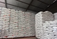 Stok Beras Bulog Jambi Mencapai 12 Ribu Ton, Aman hingga Akhir Tahun