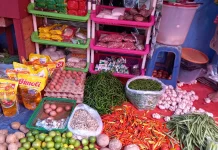 Harga Cabai Rawit Merah di Sejumlah Daerah Jambi Tembus Rp150 Ribu