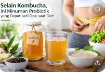 Pilihan Minuman Probiotik saat Diet