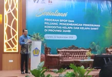 DJPb Jambi Dorong Hilirisasi Perkebunan untuk Peningkatan Kesejahteraan