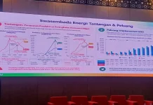 Dewan Energi Nasional Serius Upayakan Cadangan Penyangga Energi
