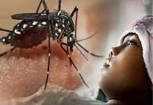 Jangan Asal Pakai Obat Nyamuk Anak, Ini Peringatan Baru di Korea