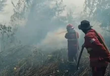 Pemadaman HLG Londerang Memasuki Hari ke-14, Lima Tim Dikerahkan