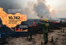 Sepuluh Ribu Lebih Titik Panas Muncul di Jambi Sepanjang 2026