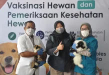 Hari Karantina Indonesia, Balai Karantina Jambi Gelar Layanan Kesehatan Gratis