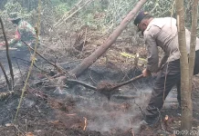 Polsek Mendahara Ulu dan Tim Gabungan Padamkan Karhutla di SUTET Pematang Rahim