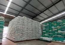 Stok Beras Medium Aman, BULOG Jambi Pastikan Pasokan Terus Didistribusikan