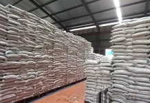 Stok Beras Bulog Aman, Capai 12 ribu Ton