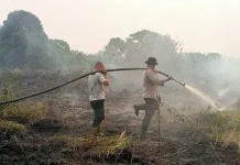 Karhutla di Kumpeh Ulu, 10 Hektare Lahan Berhasil Dipadamkan