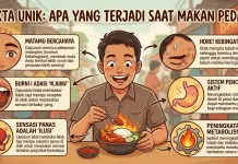 Hal Unik yang Jarang Diketahui Tentang Makan Pedas pada Batas Wajar