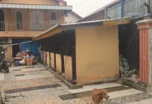 Warga Keluhkan Suara Ratusan Anjing di Shelter Mogi Grand