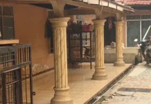 Hewan di Shelter Molby Grand Akhirnya Dipindahkan ke Tempat Lain