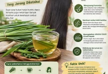 Manfaat Daun Serai untuk Kesehatan Rambut