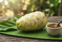Kekayaan Herbal Nusantara: Menyingkap Manfaat Kesehatan Buah Mengkudu