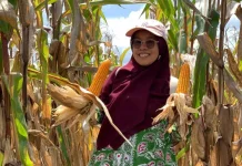 BSIP Jambi Dorong UMKM Olahan Pertanian Naik Kelas lewat SNI Bina UMK