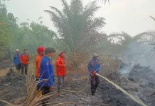 Dewan Tekankan Penanganan 4.267,51 hektare Karhutla dengan 12.106 hotspot di Jambi