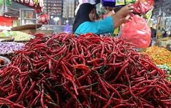 Pemprov Jambi Siapkan Subsidi Cabai jelang Lebaran