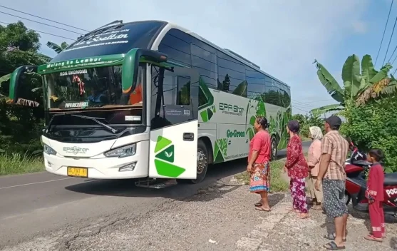 Permintaan Tiket Transportasi ke dan dari Jambi Meningkat jelang Libur Idulfitri