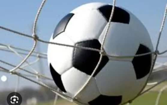 Istilah Bola Berbentuk bundar