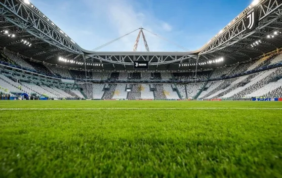 Macam-Macam Rumput yang Digunakan untuk Lapangan Sepak Bola