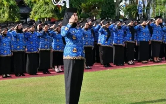 Mendagri Minta Kepala Daerah Tidak Lagi Tambah Tenaga Honorer
