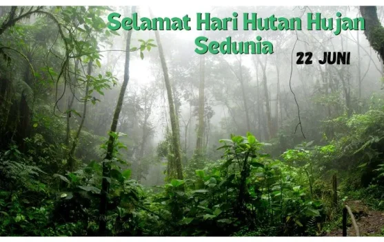 Hari Hutan Hujan Sedunia
