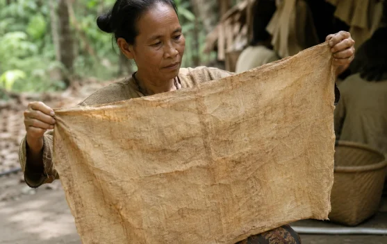 Kain Kulit Kayu Terap: Warisan Tradisional Suku Anak Dalam