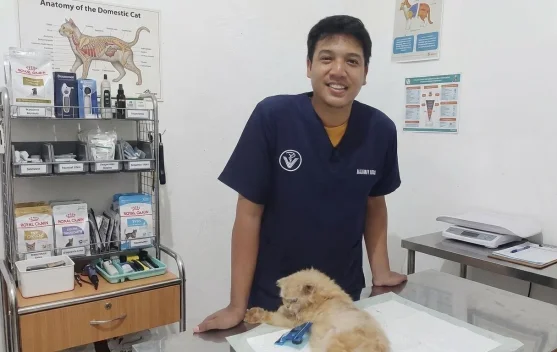 Hari Zoonosis Sedunia: Waspadai Penyakit Menular dari Hewan ke Manusia