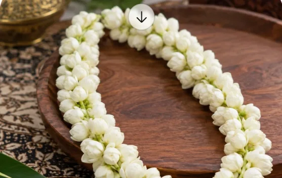 Makna Rangkaian Kalung Melati di Suatu Acara Besar