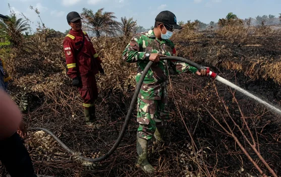TNI-Polri dan Tim Gabungan Perkuat Penanganan Karhutla di Londrang