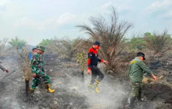 Pemerintah Sediakan Alat Berat untuk Cegah Masyarakat Buka Lahan dengan Membakar