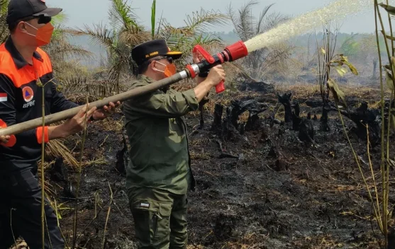 Dari Provinsi Percontohan ke Ujian Karhutla