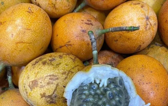 Manfaat Buah Markisa
