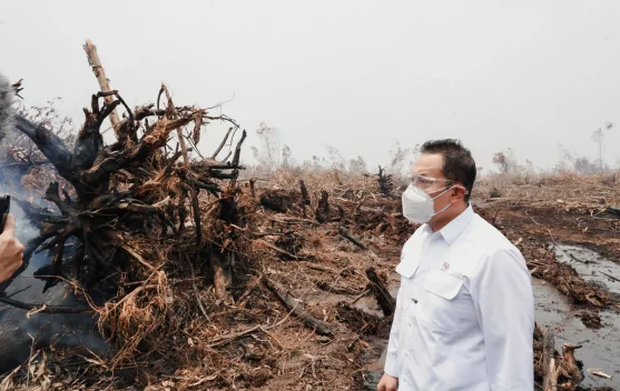 Wamen LH Temukan Praktik Baik Penanganan Karhutla di Jambi
