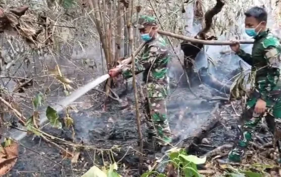 Tim Gabungan Bergerak Cepat Padamkan Api di Kawasan PT REKI Batanghari